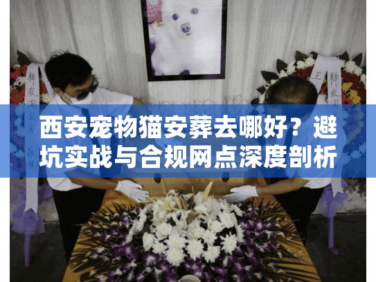 西安宠物猫安葬去哪好？避坑实战与合规网点深度剖析