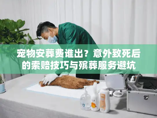 宠物安葬费谁出？意外致死后的索赔技巧与殡葬服务避坑
