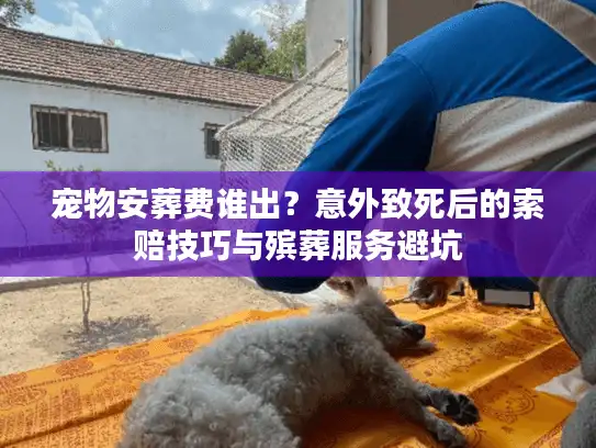 宠物安葬费谁出？意外致死后的索赔技巧与殡葬服务避坑