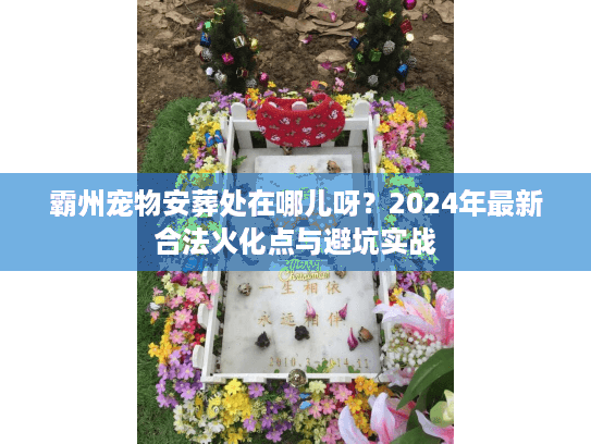 霸州宠物安葬处在哪儿呀？2024年最新合法火化点与避坑实战