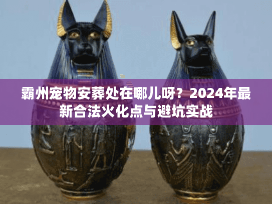 霸州宠物安葬处在哪儿呀？2024年最新合法火化点与避坑实战