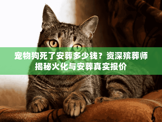 宠物狗死了安葬多少钱？资深殡葬师揭秘火化与安葬真实报价
