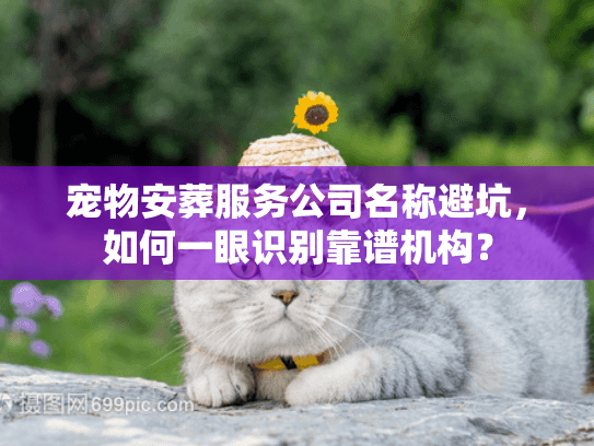 宠物安葬服务公司名称避坑，如何一眼识别靠谱机构？