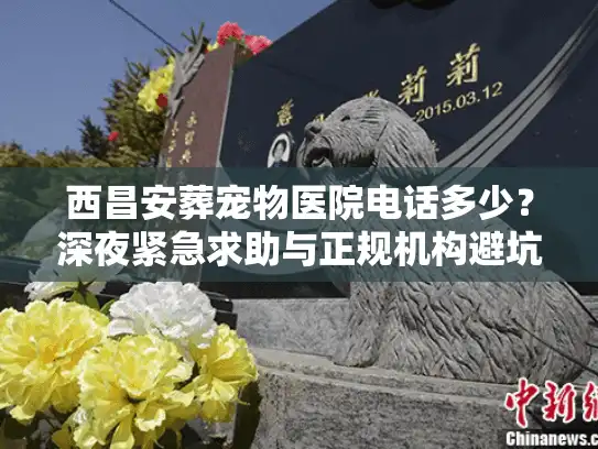 西昌安葬宠物医院电话多少？深夜紧急求助与正规机构避坑实录