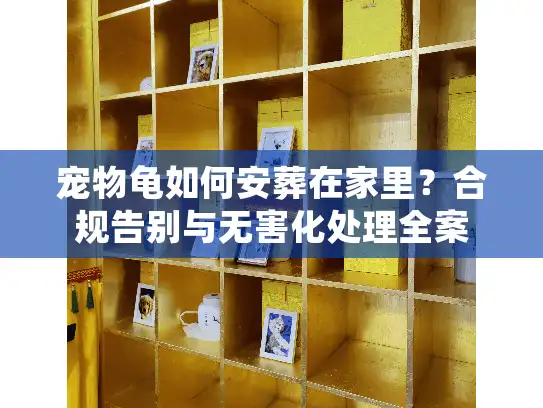 宠物龟如何安葬在家里？合规告别与无害化处理全案