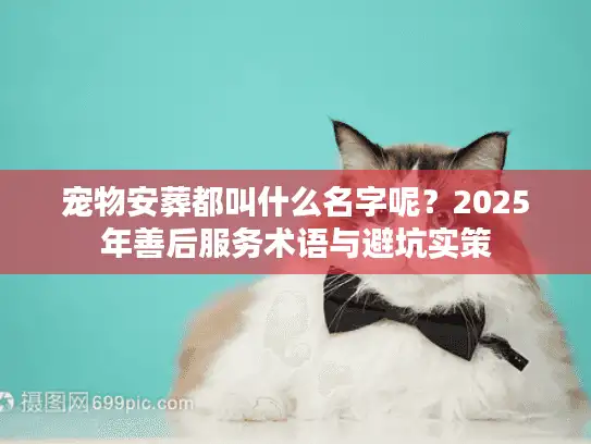 宠物安葬都叫什么名字呢？2025年善后服务术语与避坑实策