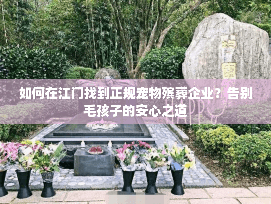 如何在江门找到正规宠物殡葬企业？告别毛孩子的安心之道