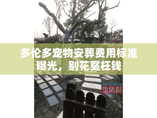 多伦多宠物安葬费用标准曝光，别花冤枉钱