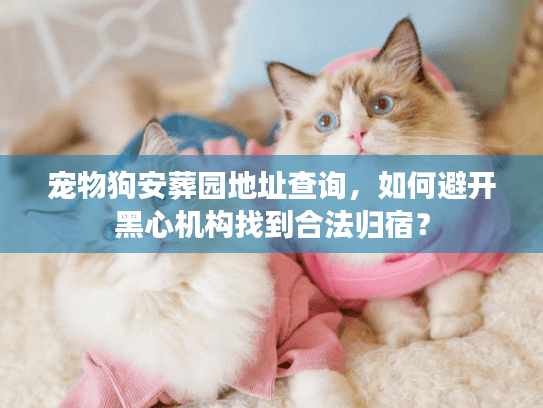 宠物狗安葬园地址查询，如何避开黑心机构找到合法归宿？