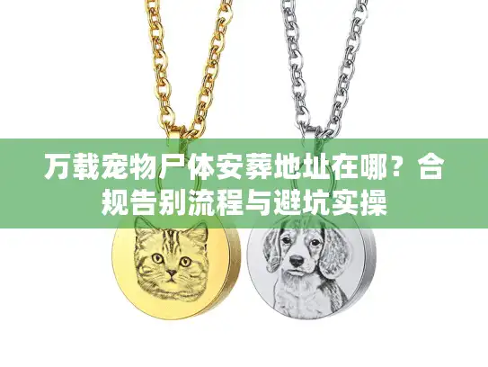 万载宠物尸体安葬地址在哪?合规告别流程与避坑实操 万载宠物尸体安葬地址在哪?合规告别流程与避坑实操