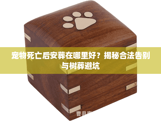 宠物死亡后安葬在哪里好?揭秘合法告别与树葬避坑 宠物死亡后安葬在哪里好?揭秘合法告别与树葬避坑