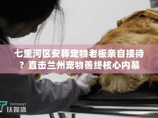 七里河区安葬宠物老板亲自接待?直击兰州宠物善终核心内幕 七里河区安葬宠物老板亲自接待?直击兰州宠物善终核心内幕