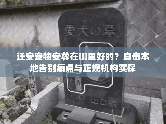 迁安宠物安葬在哪里好的？直击本地告别痛点与正规机构实探