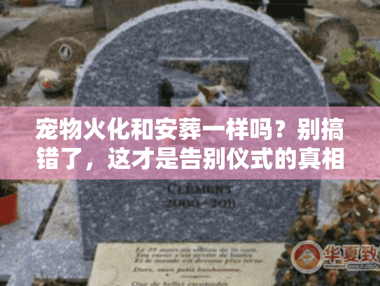 宠物火化和安葬一样吗?别搞错了,这才是告别仪式的真相 宠物火化和安葬一样吗?别搞错了,这才是告别仪式的真相