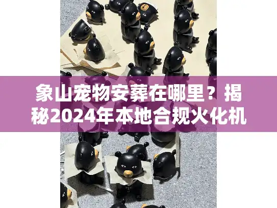 象山宠物安葬在哪里？揭秘2024年本地合规火化机构