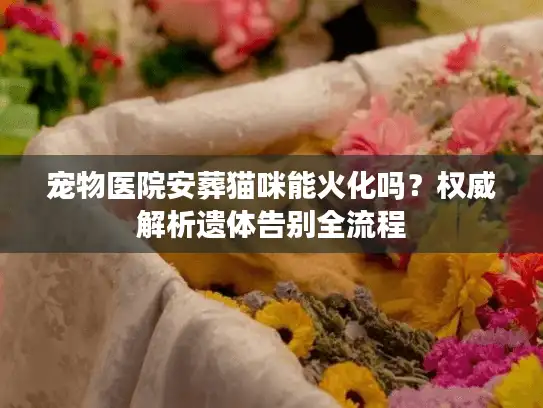 宠物医院安葬猫咪能火化吗？权威解析遗体告别全流程