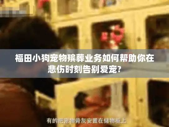 福田小狗宠物殡葬业务如何帮助你在悲伤时刻告别爱宠? 福田小狗宠物殡葬业务如何帮助你在悲伤时刻告别爱宠?