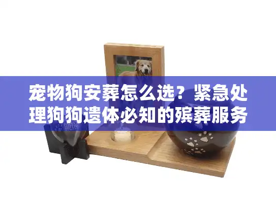 宠物狗安葬怎么选？紧急处理狗狗遗体必知的殡葬服务内幕