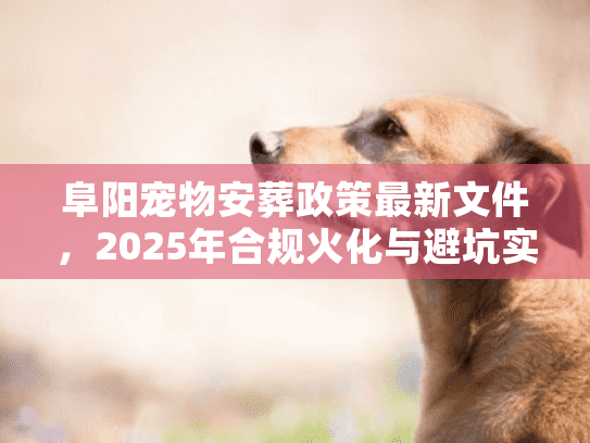 阜阳宠物安葬政策最新文件，2025年合规火化与避坑实操
