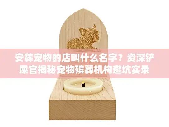 安葬宠物的店叫什么名字?资深铲屎官揭秘宠物殡葬机构避坑实录 安葬宠物的店叫什么名字?资深铲屎官揭秘宠物殡葬机构避坑实录