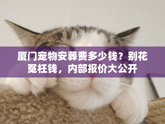 厦门宠物安葬费多少钱？别花冤枉钱，内部报价大公开