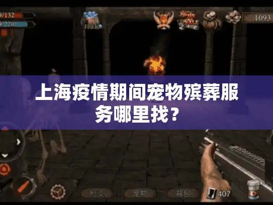 上海疫情期间宠物殡葬服务哪里找？