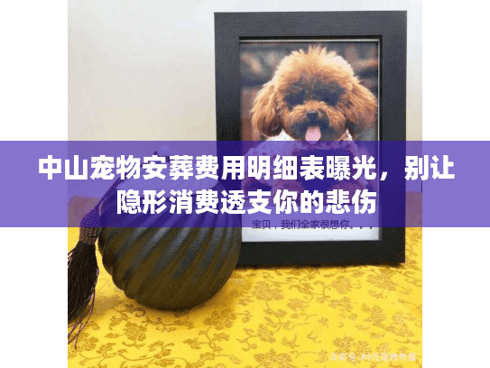 中山宠物安葬费用明细表曝光,别让隐形消费透支你的悲伤 中山宠物安葬费用明细表曝光,别让隐形消费透支你的悲伤