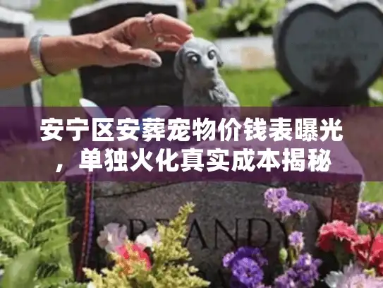 安宁区安葬宠物价钱表曝光，单独火化真实成本揭秘