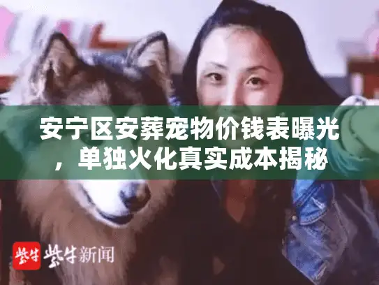 安宁区安葬宠物价钱表曝光，单独火化真实成本揭秘
