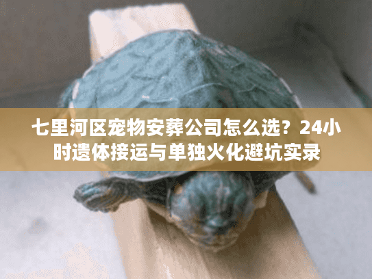 七里河区宠物安葬公司怎么选？24小时遗体接运与单独火化避坑实录