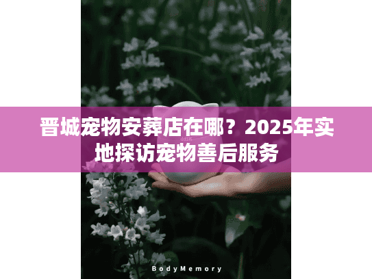 晋城宠物安葬店在哪？2025年实地探访宠物善后服务