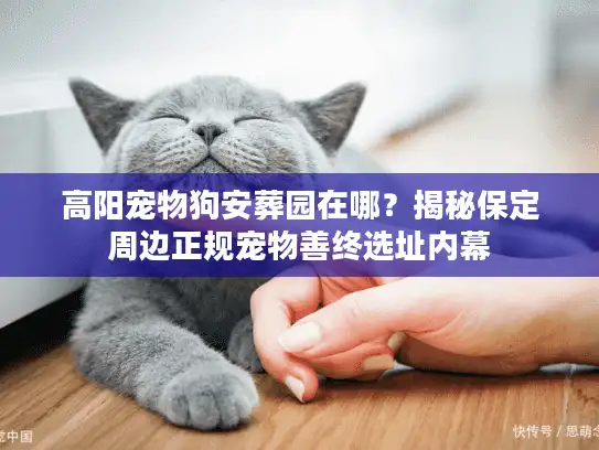 高阳宠物狗安葬园在哪？揭秘保定周边正规宠物善终选址内幕