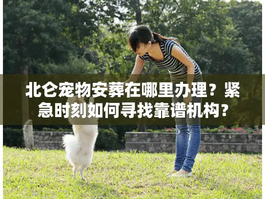 北仑宠物安葬在哪里办理?紧急时刻如何寻找靠谱机构? 北仑宠物安葬在哪里办理?紧急时刻如何寻找靠谱机构?