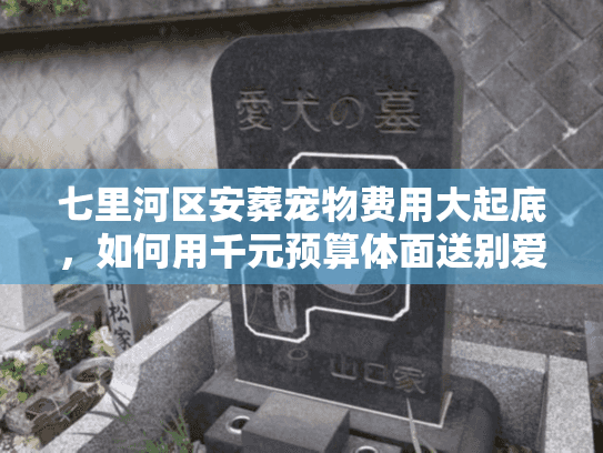 七里河区安葬宠物费用大起底，如何用千元预算体面送别爱宠