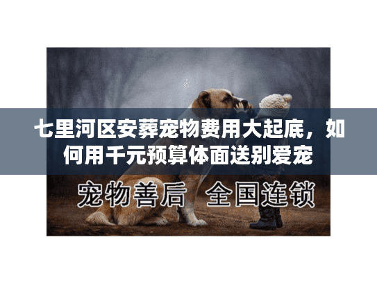 七里河区安葬宠物费用大起底，如何用千元预算体面送别爱宠