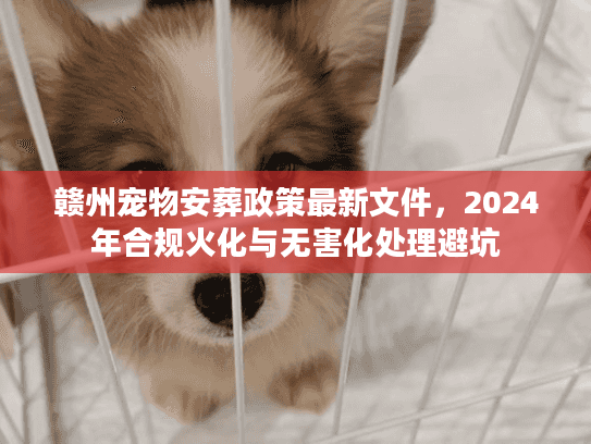 赣州宠物安葬政策最新文件,2024年合规火化与无害化处理避坑 赣州宠物安葬政策最新文件,2024年合规火化与无害化处理避坑