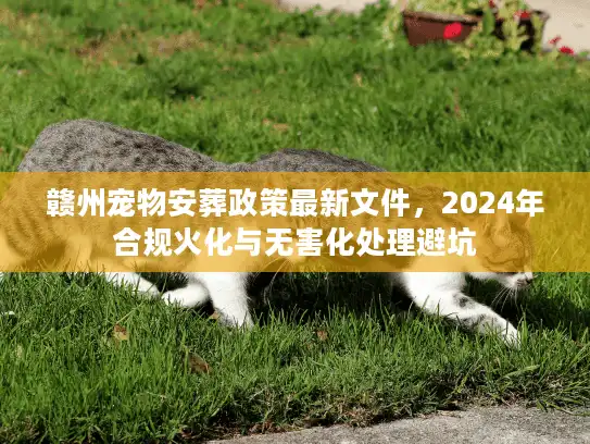 赣州宠物安葬政策最新文件,2024年合规火化与无害化处理避坑 赣州宠物安葬政策最新文件,2024年合规火化与无害化处理避坑