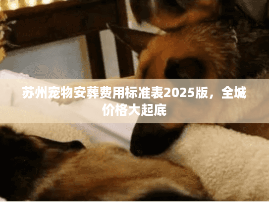 苏州宠物安葬费用标准表2025版，全城价格大起底
