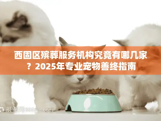 西固区殡葬服务机构究竟有哪几家？2025年专业宠物善终指南