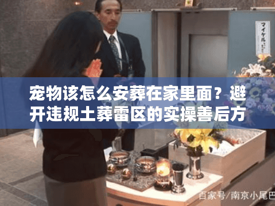 宠物该怎么安葬在家里面？避开违规土葬雷区的实操善后方案