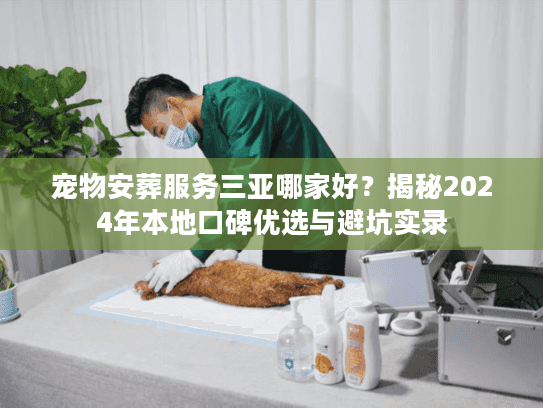 宠物安葬服务三亚哪家好？揭秘2024年本地口碑优选与避坑实录