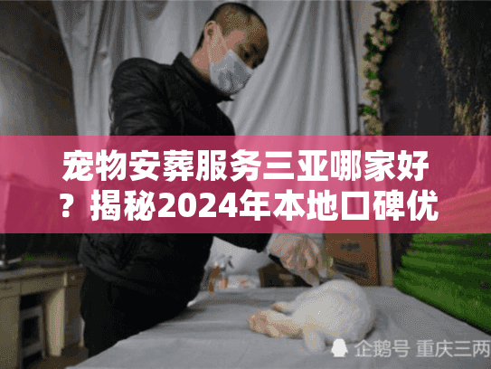 宠物安葬服务三亚哪家好？揭秘2024年本地口碑优选与避坑实录