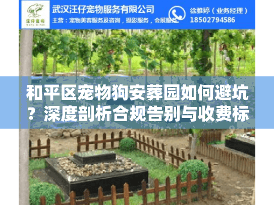 和平区宠物狗安葬园如何避坑？深度剖析合规告别与收费标准
