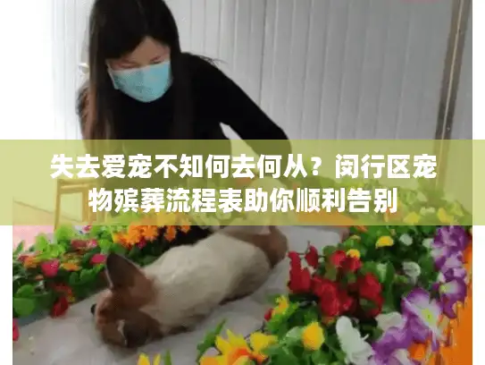 失去爱宠不知何去何从？闵行区宠物殡葬流程表助你顺利告别