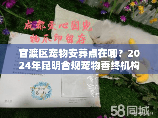 官渡区宠物安葬点在哪？2024年昆明合规宠物善终机构避坑实录