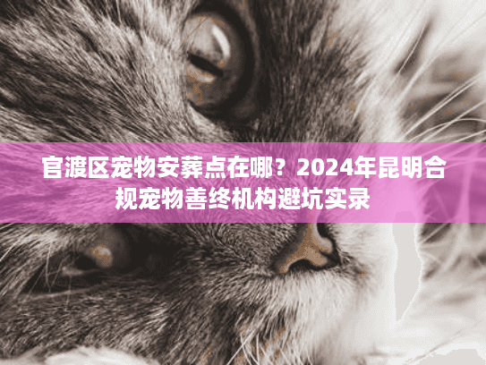 官渡区宠物安葬点在哪？2024年昆明合规宠物善终机构避坑实录