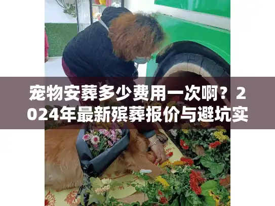 宠物安葬多少费用一次啊？2024年最新殡葬报价与避坑实录