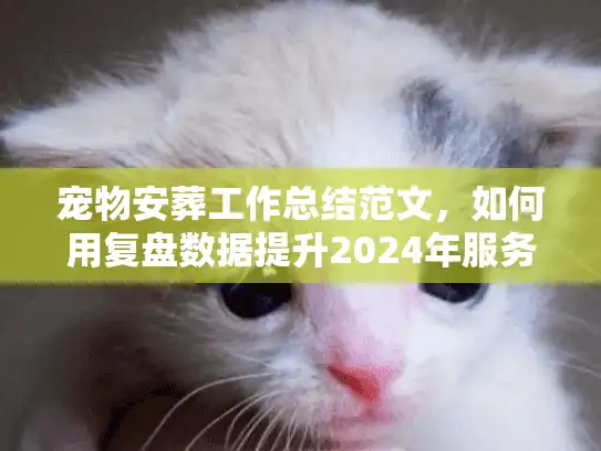 宠物安葬工作总结范文,如何用复盘数据提升2024年服务转化率 宠物安葬工作总结范文,如何用复盘数据提升2024年服务转化率