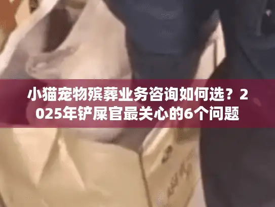 小猫宠物殡葬业务咨询如何选？2025年铲屎官最关心的6个问题