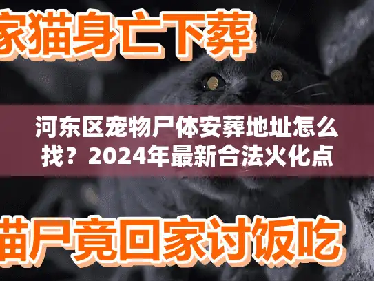 河东区宠物尸体安葬地址怎么找？2024年最新合法火化点